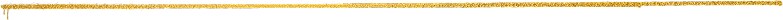 Footer Divider